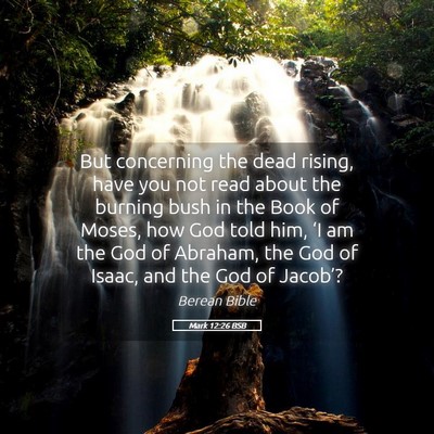 Picture 05 - Mark 12:26 BSB - But concerning the dead rising, have you not read - Bible Verse Picture
