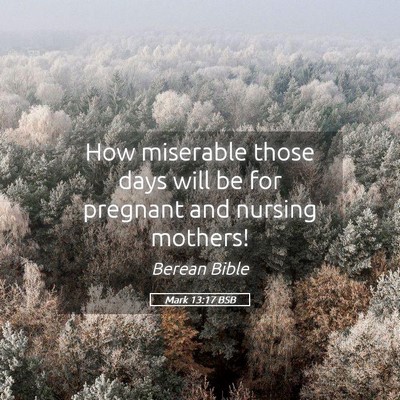 Picture 05 - Mark 13:17 BSB - How miserable those days will be for pregnant and - Bible Verse Picture