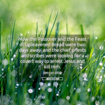 Picture 05 - Mark 14:1 BSB - Now the Passover and the Feast of Unleavened - Bible Verse Picture