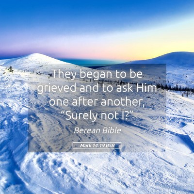 Picture 05 - Mark 14:19 BSB - They began to be grieved and to ask Him one after - Bible Verse Picture