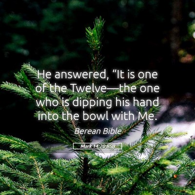 Picture 05 - Mark 14:20 BSB - He answered, “It is one of the Twelve—the one - Bible Verse Picture