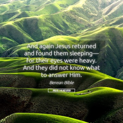 Picture 05 - Mark 14:40 BSB - And again Jesus returned and found them - Bible Verse Picture