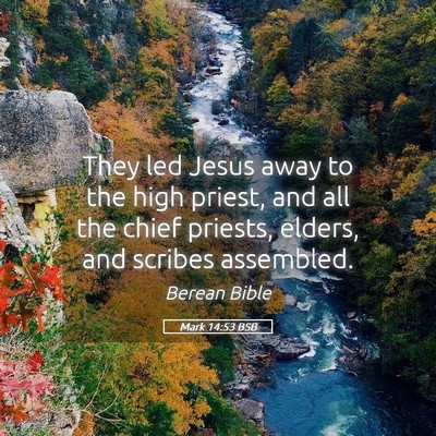 Picture 05 - Mark 14:53 BSB - They led Jesus away to the high priest, and all - Bible Verse Picture