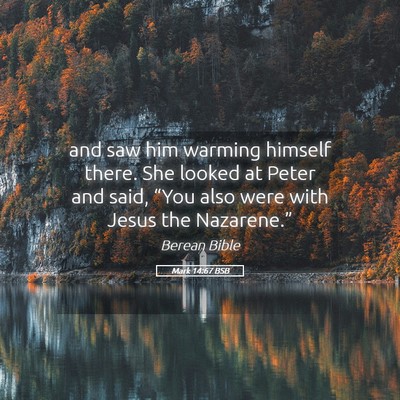 Picture 05 - Mark 14:67 BSB - and saw him warming himself there. She looked at - Bible Verse Picture