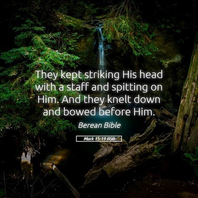 Picture 05 - Mark 15:19 BSB - They kept striking His head with a staff and - Bible Verse Picture
