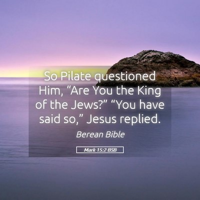 Picture 05 - Mark 15:2 BSB - So Pilate questioned Him, “Are You the King of - Bible Verse Picture