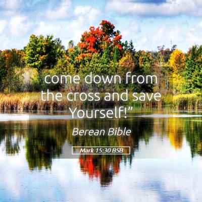 Picture 05 - Mark 15:30 BSB - come down from the cross and save - Bible Verse Picture