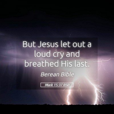 Picture 05 - Mark 15:37 BSB - But Jesus let out a loud cry and breathed His - Bible Verse Picture