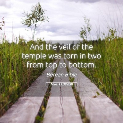 Picture 05 - Mark 15:38 BSB - And the veil of the temple was torn in two from - Bible Verse Picture