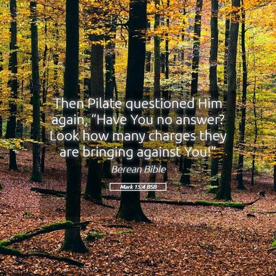 Picture 05 - Mark 15:4 BSB - Then Pilate questioned Him again, “Have You no - Bible Verse Picture