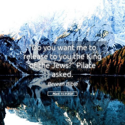 Picture 05 - Mark 15:9 BSB - “Do you want me to release to you the King of - Bible Verse Picture