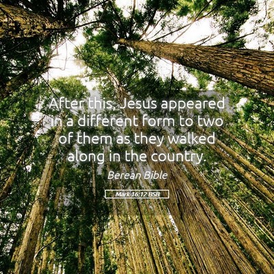 Picture 05 - Mark 16:12 BSB - After this, Jesus appeared in a different form to - Bible Verse Picture