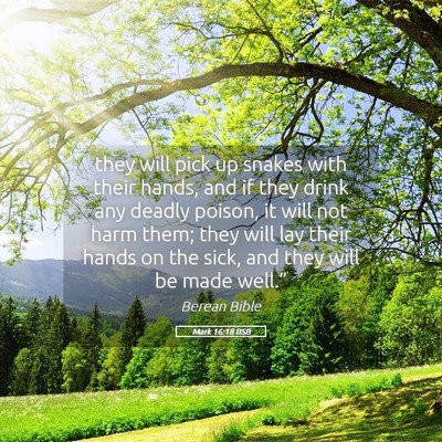Picture 05 - Mark 16:18 BSB - they will pick up snakes with their hands, and if - Bible Verse Picture