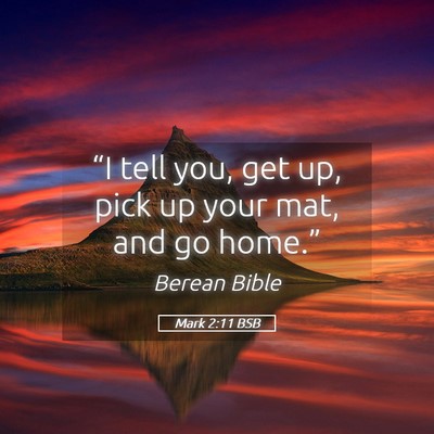 Picture 05 - Mark 2:11 BSB - “I tell you, get up, pick up your mat, and go - Bible Verse Picture