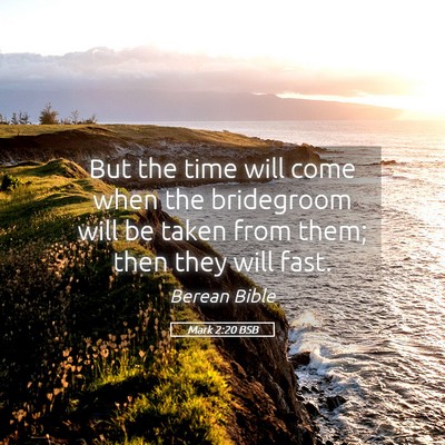 Picture 05 - Mark 2:20 BSB - But the time will come when the bridegroom will - Bible Verse Picture