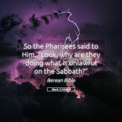 Picture 05 - Mark 2:24 BSB - So the Pharisees said to Him, “Look, why are - Bible Verse Picture