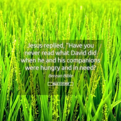 Picture 05 - Mark 2:25 BSB - Jesus replied, “Have you never read what David - Bible Verse Picture