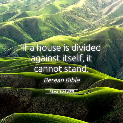 Picture 05 - Mark 3:25 BSB - If a house is divided against itself, it cannot - Bible Verse Picture