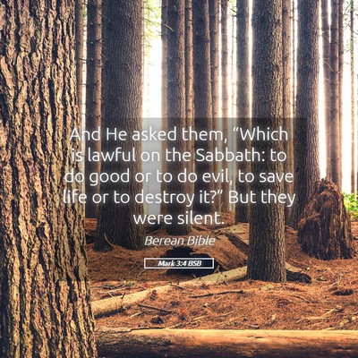 Picture 05 - Mark 3:4 BSB - And He asked them, “Which is lawful on the - Bible Verse Picture