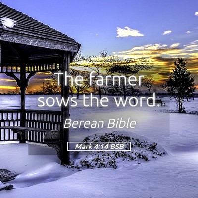 Picture 05 - Mark 4:14 BSB - The farmer sows the - Bible Verse Picture