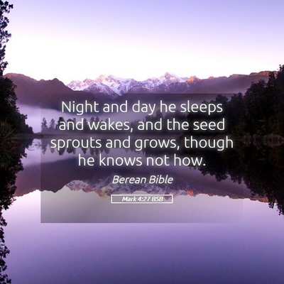Picture 05 - Mark 4:27 BSB - Night and day he sleeps and wakes, and the seed - Bible Verse Picture
