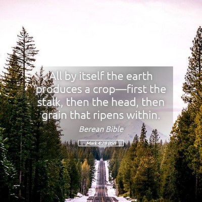 Picture 05 - Mark 4:28 BSB - All by itself the earth produces a crop—first - Bible Verse Picture