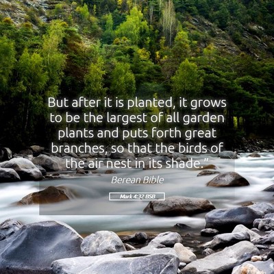 Picture 05 - Mark 4:32 BSB - But after it is planted, it grows to be the - Bible Verse Picture