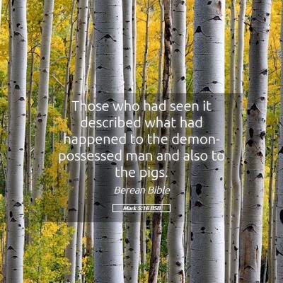 Picture 05 - Mark 5:16 BSB - Those who had seen it described what had happened - Bible Verse Picture