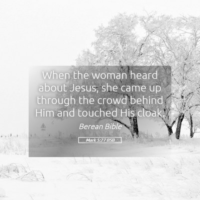 Picture 05 - Mark 5:27 BSB - When the woman heard about Jesus, she came up - Bible Verse Picture