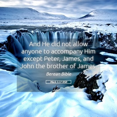 Picture 05 - Mark 5:37 BSB - And He did not allow anyone to accompany Him - Bible Verse Picture