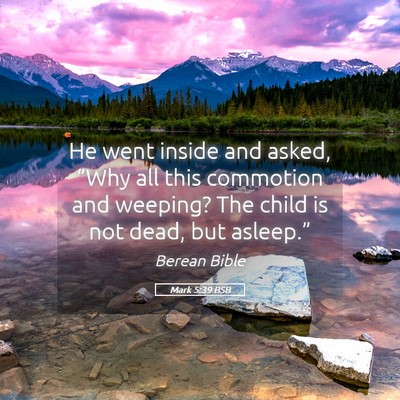 Picture 05 - Mark 5:39 BSB - He went inside and asked, “Why all this - Bible Verse Picture