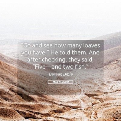 Picture 05 - Mark 6:38 BSB - “Go and see how many loaves you have,” He - Bible Verse Picture