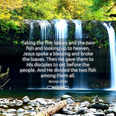 Picture 05 - Mark 6:41 BSB - Taking the five loaves and the two fish and - Bible Verse Picture