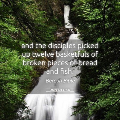 Picture 05 - Mark 6:43 BSB - and the disciples picked up twelve basketfuls of - Bible Verse Picture
