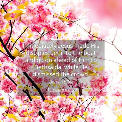 Picture 05 - Mark 6:45 BSB - Immediately Jesus made His disciples get into the - Bible Verse Picture
