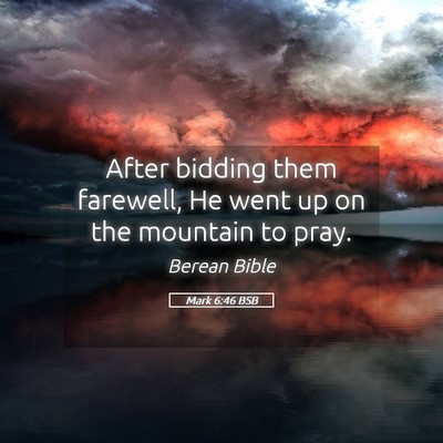 Picture 05 - Mark 6:46 BSB - After bidding them farewell, He went up on the - Bible Verse Picture