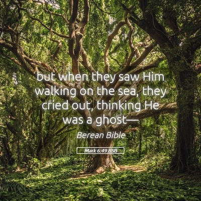 Picture 05 - Mark 6:49 BSB - but when they saw Him walking on the sea, they - Bible Verse Picture