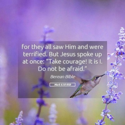 Picture 05 - Mark 6:50 BSB - for they all saw Him and were terrified. But - Bible Verse Picture