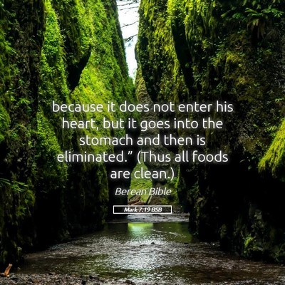 Picture 05 - Mark 7:19 BSB - because it does not enter his heart, but it goes - Bible Verse Picture
