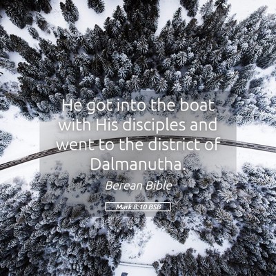 Picture 05 - Mark 8:10 BSB - He got into the boat with His disciples and went - Bible Verse Picture
