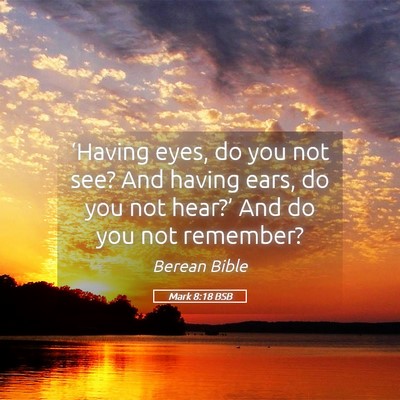 Picture 05 - Mark 8:18 BSB - ‘Having eyes, do you not see? And having ears, - Bible Verse Picture