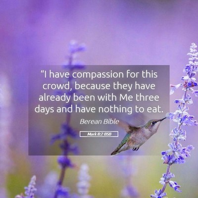 Picture 05 - Mark 8:2 BSB - “I have compassion for this crowd, because they - Bible Verse Picture
