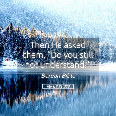 Picture 05 - Mark 8:21 BSB - Then He asked them, “Do you still not - Bible Verse Picture