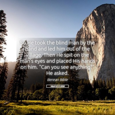 Picture 05 - Mark 8:23 BSB - So He took the blind man by the hand and led him - Bible Verse Picture