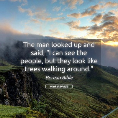 Picture 05 - Mark 8:24 BSB - The man looked up and said, “I can see the - Bible Verse Picture