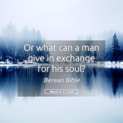 Picture 05 - Mark 8:37 BSB - Or what can a man give in exchange for his - Bible Verse Picture