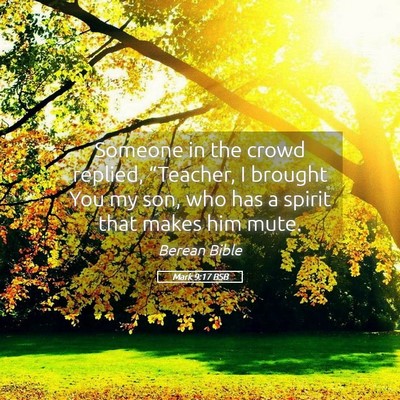 Picture 05 - Mark 9:17 BSB - Someone in the crowd replied, “Teacher, I - Bible Verse Picture