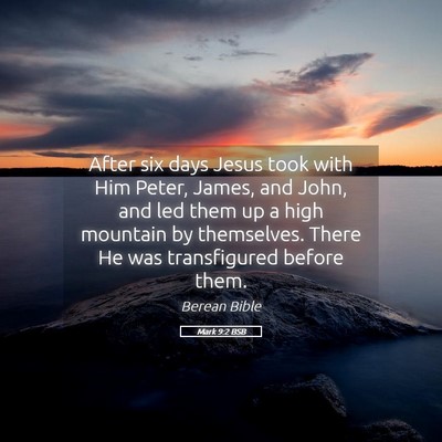Picture 05 - Mark 9:2 BSB - After six days Jesus took with Him Peter, James, - Bible Verse Picture
