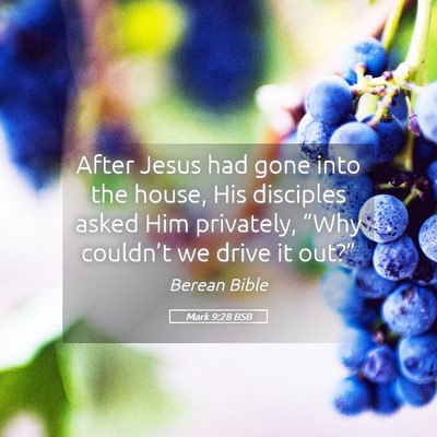 Picture 05 - Mark 9:28 BSB - After Jesus had gone into the house, His - Bible Verse Picture