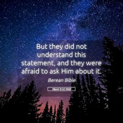 Picture 05 - Mark 9:32 BSB - But they did not understand this statement, and - Bible Verse Picture